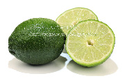メキシコ産のライム（Lime）の断面写真