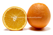 ワシントンネーブルオレンジの画像一覧