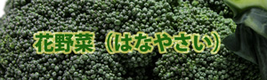 花野菜