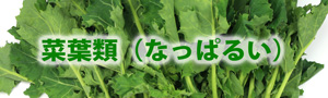 菜葉野菜