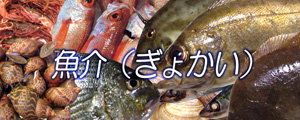 魚貝、魚介類、エビ、カニ、タコなどのページへ