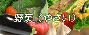 野菜、やさい、根菜、緑黄色野菜などのページへ
