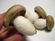zVWi{߂j2012.9.21Be