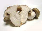 zVWi{߂j2012.9.21Be