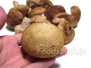 VC^Piő^j2012.9.16Be