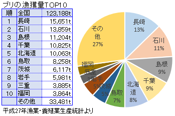 天然ブリの漁獲量／鰤／ハマチ