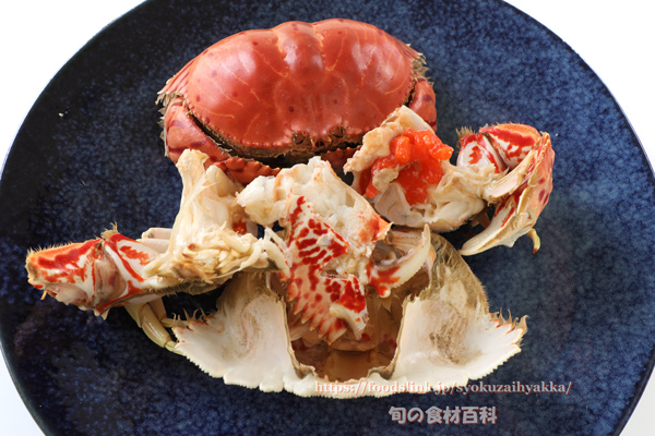 塩ゆでしたトラフカラッパ(Calappa lophos) 塩ゆでしたトラフカラッパ Calappa lophos