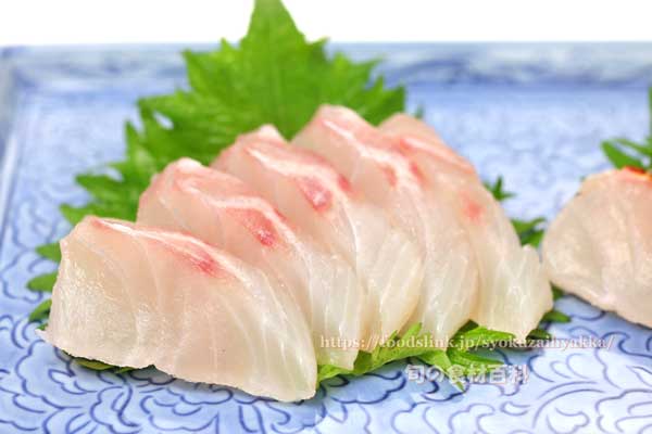 ハチジョウアカムツの刺身 ハチジョウアカムツの刺身,八丈赤鯥,ヒーランマチ,Etelis carbunculus,Ruby snapper