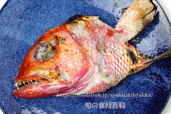 ハチジョウアカムツのかぶと焼き ハチジョウアカムツのかぶと焼き,八丈赤鯥,ヒーランマチ,Etelis carbunculus,Ruby snapper