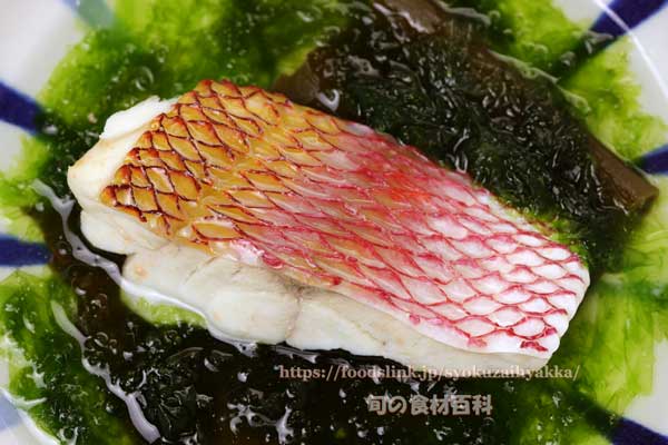 ハチジョウアカムツのマース煮,八丈赤鯥,ヒーランマチ,Etelis carbunculus,Ruby snapper