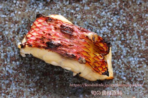 ハチジョウアカムツの柚庵焼き ハチジョウアカムツの柚庵焼き,八丈赤鯥,ヒーランマチ,Etelis carbunculus,Ruby snapper