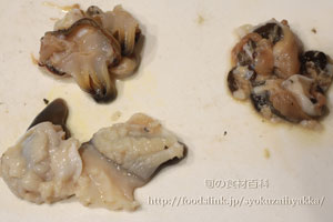 ホッキガイ／ほっき貝のさばき方