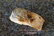 天然シマアジの塩焼き,縞鯵