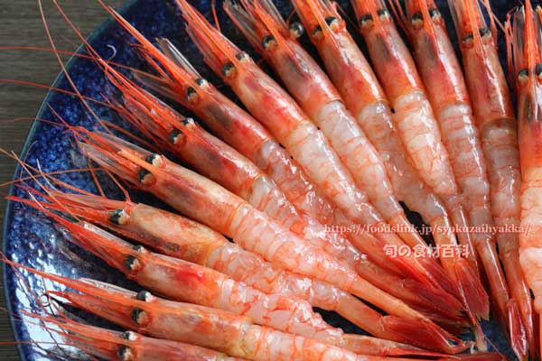 ホッコクアカエビ　あまえび　握り　甘海老　北国赤海老