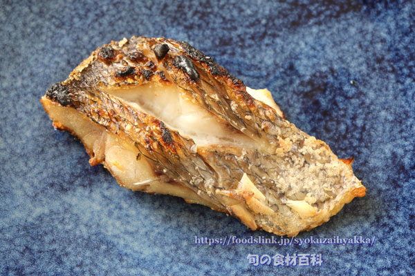 シマアオダイ(縞青鯛)の塩焼き シマアオダイの塩焼き,縞青鯛,しまあおだい,シルシチューマチ