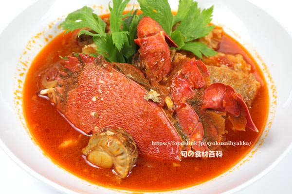 アサヒガニと八角のトマト煮,spanner crab,Ranina ranina