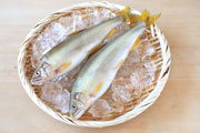 子持ち鮎,アユ,鮎,あゆ,香魚