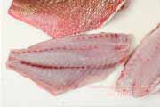 ヒメフエダイ ヒメフエダイ,Lutjanus gibbus,ミミジャー,Humpback red snapper