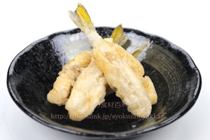 シロサバフグ/白鯖河豚/しろさばふぐの