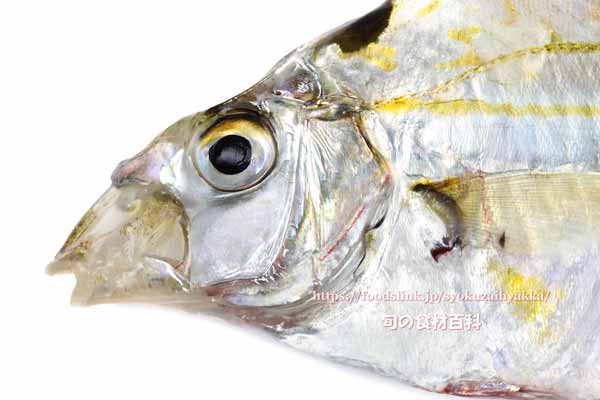 ヒイラギ ヒイラギ, Nuchequula nuchalis