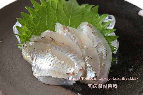 ヒイラギ ヒイラギ, Nuchequula nuchalis