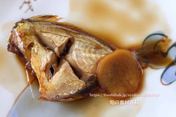 ヒイラギ ヒイラギ, Nuchequula nuchalis