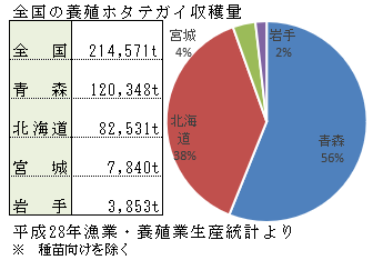 養殖ホタテガイの収穫量