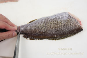 イサキ／鶏魚／伊佐木：さばき方　三枚におろす