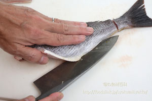 イサキ／鶏魚／伊佐木：さばき方　三枚におろす