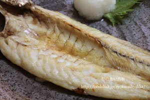 カマス/アカカマス/本かますの塩焼き