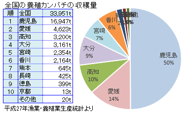 全国の養殖カンパチの収穫量