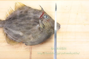 カワハギ/皮剥/かわはぎ:さばき方 三枚におろす