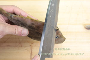 カワハギ/皮剥/かわはぎ:さばき方 三枚におろす