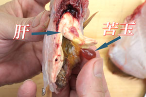 カワハギ/皮剥/かわはぎ:さばき方 三枚におろす