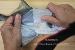 ウマヅラハギ/馬面剥/うまづらはぎ:さばき方 三枚におろす