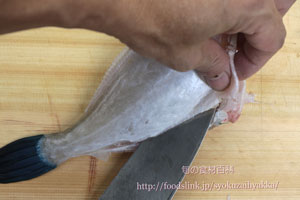ウマヅラハギ/馬面剥/うまづらはぎ:さばき方 三枚におろす