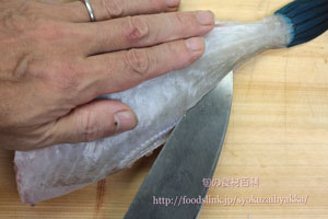 ウマヅラハギ/馬面剥/うまづらはぎ:さばき方 三枚におろす