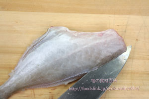 ウマヅラハギ/馬面剥/うまづらはぎ:さばき方 三枚におろす