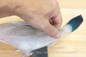 ウマヅラハギ/馬面剥/うまづらはぎ:さばき方 三枚におろす