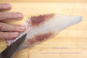 ウマヅラハギ/馬面剥/うまづらはぎ:さばき方 三枚におろす