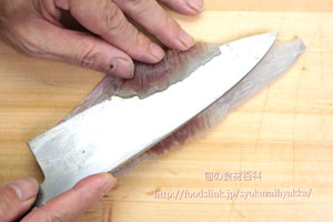 ウマヅラハギ/馬面剥/うまづらはぎ:さばき方 三枚におろす
