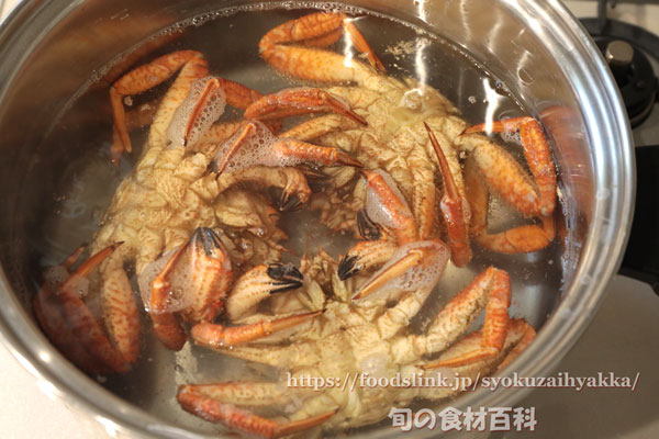 クリガニを茹でているところ クリガニを茹でているところ/栗蟹/サクラガニ