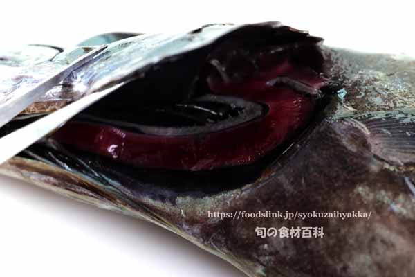クロシビカマス / スミヤキのエラ クロシビカマス,スミヤキ,エンザラ,ナワキリ,Roudi escolar