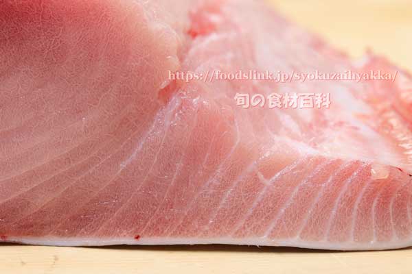 コシナガマグロ　マグロの栄養価と効用