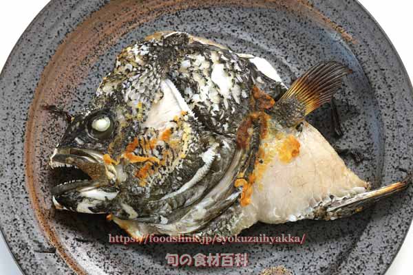 マツダイのかぶと焼き,松鯛,料理