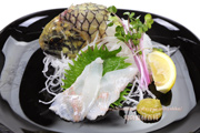 マツカサウオの刺身 Monocentris japonica Pineconefish　Pineapple fish