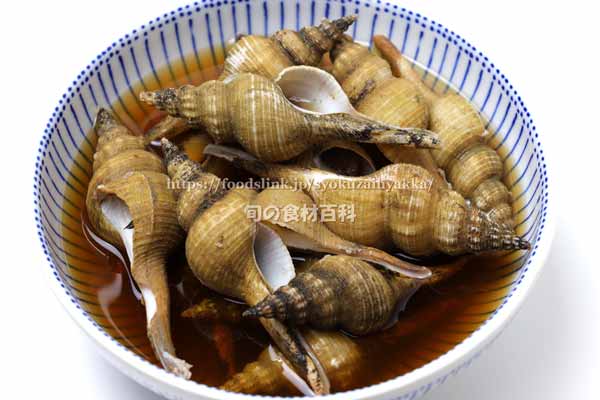 ナガニシの煮貝、ハシナガニシ ナガニシの煮貝,ハシナガニシ