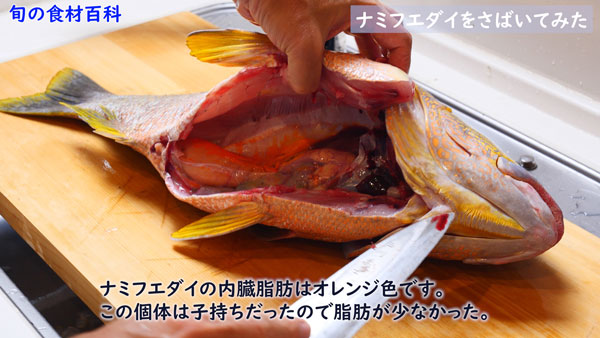 ナミフエダイの腹の中- Lutjanus rivulatus -,Blubberlip snapper