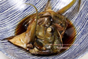 カスミアジ Bluefin trevally Caranx melampygus