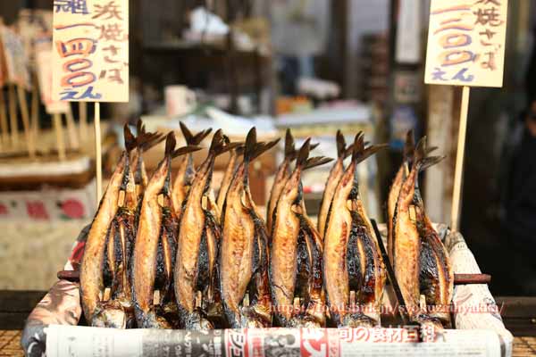 福井県小浜市の浜焼きさば